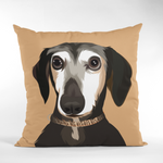 Custom Pet Pillow / Cushion
